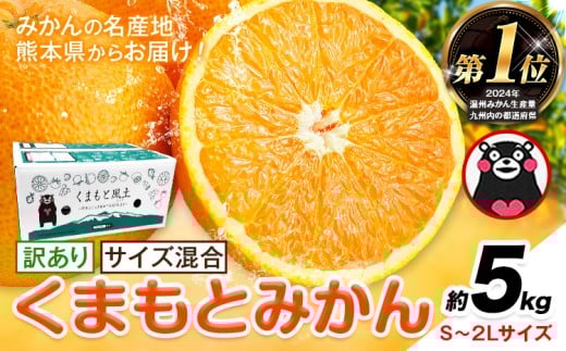 みかん 訳あり くまもとみかん 約5kg S-2Lサイズ サイズ混合 ご家庭用《7-14営業日以内に出荷予定(土日祝除く)》 フルーツ サイズ混合 秋 旬 柑橘 小玉 中玉 大玉 熊本県 荒尾市 熊本県産 荒尾市産含む