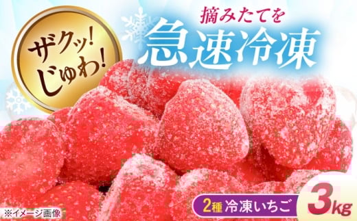 冷凍いちご 3kg （紅ほっぺ・かおり野1kg×3P） 滋賀県長浜市/株式会社みつなりのさと [AQBT014]