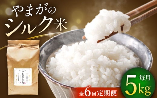 【全6回定期便】やまがシルク米 5kg【株式会社 あつまるホールディングス NSP山鹿工場】 [ZBR041]