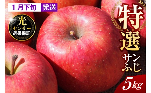 【2026年1月下旬発送】【特選】りんご 約5kg サンふじ 青森 五所川原