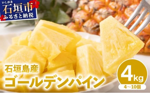 【2026年6月発送】訳あり 石垣島産 ゴールデンパイン 約4kg（4～10個）KP-04 | ふるさと納税 パイナップル 産地直送 フルーツ 果物 パイン 石垣 沖縄 沖縄県石垣市 石垣島