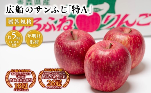 【1~2月】青森県産 贈答規格 広船のサンふじ 約5kg「特A」【広船アップルクラブ】サンふじ ふじ 広船 年明け 青森 青森県産 平川 りんご リンゴ 林檎 くだもの 果物 フルーツ 