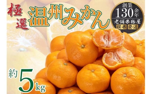 極撰！温州みかん　約5ｋｇ |みかん フルーツ 旬 美味しい みかん 新鮮 フルーツ みかん 詰合せ セット フルーツ 人気 フルーツ 厳選 おすすめ フルーツ