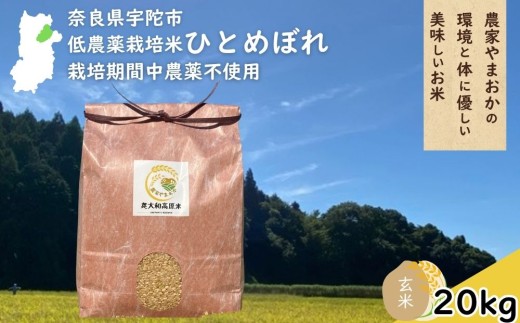 ひとめぼれ 低農薬栽培＜令和7年産 玄米 20kg ＞ / ふるさと納税 低農薬 米 お米 こめ コメ 国産 新米 玄米 一等米 農家やまおか 奈良県 宇陀市