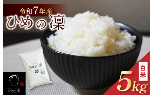 【令和7年産】【2025年11月10日から順次発送】今治産 米（ひめの凜）5kg【VB01580】米 お米 コメ おこめ 白米 精米 ごはん ご飯 ひめの凜 愛媛県産 今治産 新米