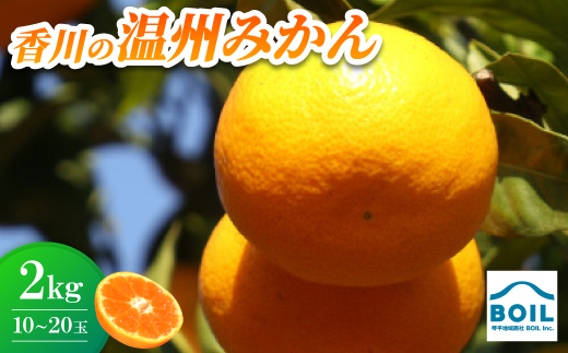 温州みかん　約2kg(20～30玉)【1680211】