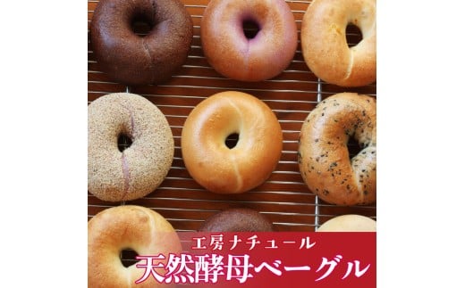 【数量限定・事前予約】『工房ナチュール』の天然酵母ベーグルセット 内容お任せ 12個 【数量限定受付中 ※在庫が無くなり次第受付終了します】