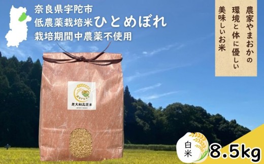 ひとめぼれ 低農薬栽培＜令和7年産 白米 8.5kg ＞ / ふるさと納税 低農薬 米 お米 こめ コメ 国産 新米 玄米 一等米 農家やまおか 奈良県 宇陀市