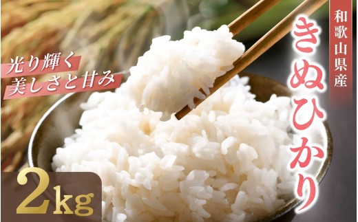 和歌山県産 キヌヒカリ 2kg(2025年産) / 白米 コメ 産地直送 米 こめ ご飯 ごはん コシヒカリ 【sml138】
