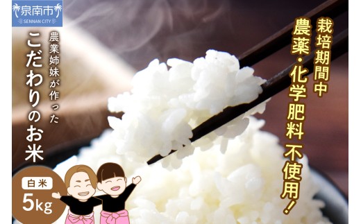 農業姉妹がこだわって栽培！こだわりのお米 白米5kg【024D-005】