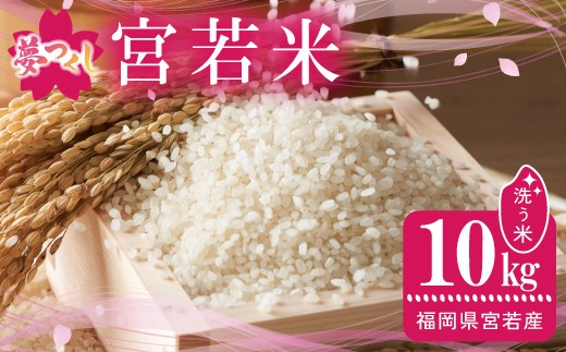 【2025年12月発送】令和7年産 夢つくし 精米 10kg [M895-2-2512] ごはん コメ ご飯 精米 白米 ブランド米 2321263 - 福岡県宮若市