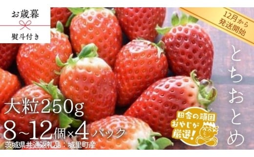 【 お歳暮 熨斗付 】 とちおとめ 〈いちご〉 大粒 250g（8～12粒）×4パック【2025年12月から発送開始】（茨城県共通返礼品 [いちご]：城里町産） いちご 苺 イチゴ とちおとめ