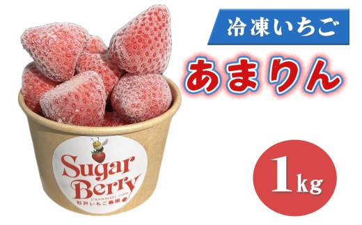 冷凍いちご《あまりん》1kg｜埼玉 オリジナル 品種 糖度 高い 甘い 高級 イチゴ SugarBerry すぎと [0684]