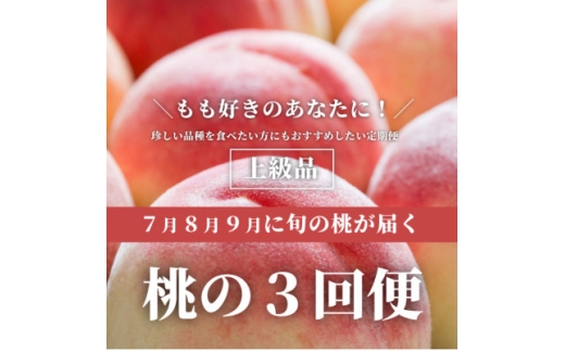 ＜発送月固定定期便＞＜2026年先行予約＞桃好きの為の桃3回便!(上級品5-7玉入)(岡山産)全3回【4061981】