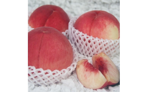 2026年発送 山梨市産 訳あり桃 約2kg(4～8玉)【1688049】