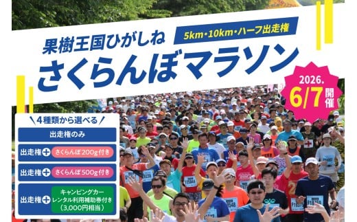 ≪選べる出走権内容≫2026年6月7日開催　第23回果樹王国ひがしねさくらんぼマラソン大会出走権