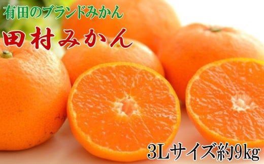 【ブランドみかん】田村みかん大玉約9kg(3Lサイズ) ※2025年11下旬～2025年12月下旬頃に順次発送 【tecj1036】