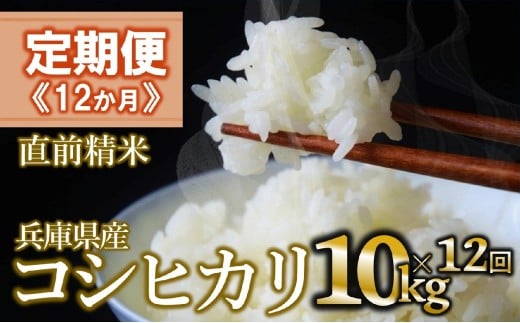 【定期便 3か月 コシヒカリ】白米10kg（12か月連続お届け）新米 2025年産 米 お米 米10㎏ お米10㎏ 兵庫県産 こしひかり コシヒカリ 西脇市産 定期 連続 12回 12か月 1年 2025年産 精米 便利 らくちん ラク