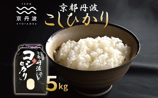 京丹波こしひかり 5kg 令和7年産 京都 精米 コシヒカリ ※北海道・沖縄・その他離島は配送不可 [010MB001] 247562 - 京都府京丹波町