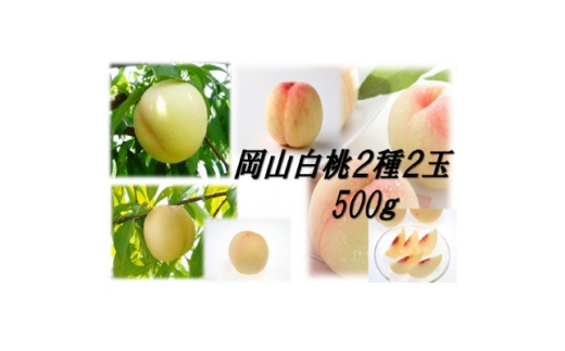 岡山白桃食べ比べ　早生2種2玉【1684880】