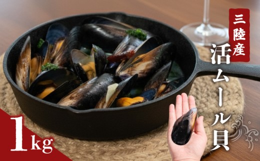 国産 活ムール貝 1kg 冷蔵 ムール貝 ムラサキ貝 しゅうり貝 殻付き 新鮮 産地直送 旬 お取り寄せ グルメ 三陸 岩手県 大船渡市