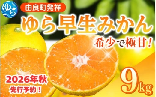 【2026年秋・発送分！】和歌山県産 ゆら早生みかん 9kg  ※2026年10月中旬頃より順次発送予定 / 和歌山県 柑橘 みかん 甘い 蜜柑 フルーツ 果物 くだもの 食品 人気  晩柑 おすすめ 送料無料 産地直送 由良町【kzmn006】