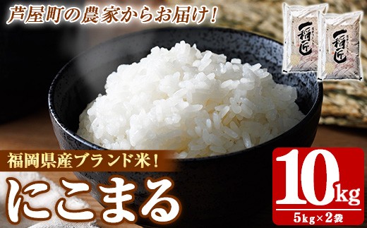 ≪令和7年産≫福岡県産 にこまる 白米(計10kg・5kg×2袋) 白米 米 お米 おこめ ごはん にこまる ご飯 常温 福岡県産 ブランド米 常温 常温保存 as32-001