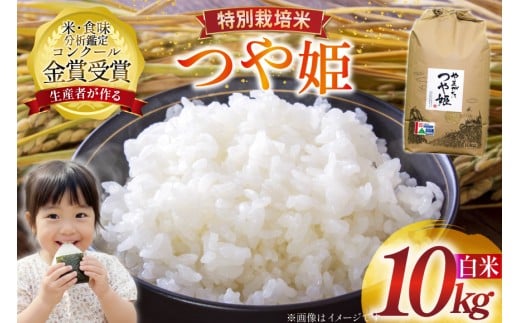 米 令和7年産 つや姫 10kg 特別栽培米 精米 [農家の蔵出し米生産組合 山形県 高畠町 tk06ays900023] コメ ご飯 ごはん お米 ブランド米