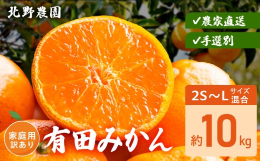 DZ6235_ 有田みかん 家庭用 訳あり サイズ 混合 おまかせ 2S ～ L 約 10kg みかん 柑橘 フルーツ 果物 果実 果汁 デザート 深み 濃厚 国産 北野農園 お取り寄せ 和歌山県 湯浅町 送料無料