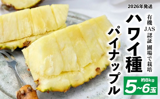 有機JAS認証圃場で栽培　ハワイ種パイナップル　5～6玉（約8kg） 2026年発送 沖縄県産 東村 パイナップル ジューシー 希少 高級フルーツ 南国フルーツ 国産フルーツ 農家直送 パイン 果物 贈り物 おすすめ お土産 人気 やんばる 大自然 南国気分 沖縄本島北部 2386510 - 沖縄県東村
