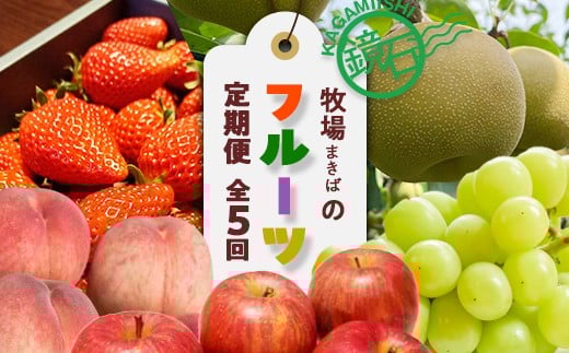 【2026年9月から発送開始】鏡石町 まきばのフルーツ定期便（桃約2kg・和梨約3kg・シャインマスカット2房・りんご約5kg・いちご約500g）モモ もも ナシ なし ブドウ ぶどう リンゴ イチゴ 苺 福島県 鏡石町 F6Q-389