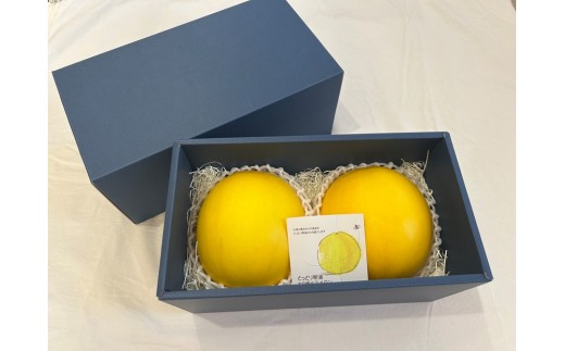 鳥取県琴浦町産　エリザベスメロン　秀品　2玉入り（約2kg）【メロン エリザベスメロン 希少 レア 甘い 美味しい おいしい 糖度 高糖度 14度 化粧箱 果物 くだもの フルーツ 産地直送 国産 日本産 箱入り ギフト 贈り物 贈答 人気 おすすめ 鳥取県 琴浦町 送料無料】