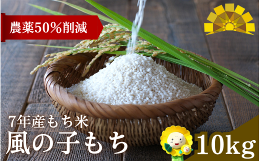 【令和7年産もち米】 風の子もち 10kg 北海道 北竜町産 /もち米　【sun408-mochi-10-R7】
