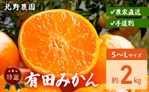 DZ6234_ 特選 有田みかん サイズ 混合 おまかせ S ～ L 約 2kg みかん 柑橘 フルーツ 果物 果実 果汁 デザート 深み 濃厚 国産 贈答用 ギフト用 北野農園 お取り寄せ 和歌山県 湯浅町 送料無料