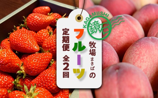 【2026年から発送開始】大人気！鏡石町 まきばのフルーツ定期便（いちご 約500g・桃 約2kg）イチゴ 苺 モモ もも 福島県 鏡石町 F6Q-386