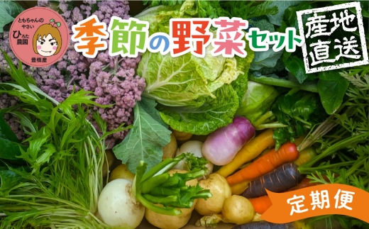 彩り野菜セット 3種 5回お届け 定期便 豊橋 国産 ミネラルたっぷり 海風そだち 潮風 家族で 大容量 豊橋 ともちゃんのやさい 直売所で大人気！ 愛知県 豊橋市 安心野菜 ブロッコリー キャベツ 2389761 - 愛知県豊橋市