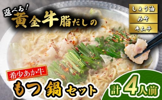 【 選べるスープ】阿蘇はなびし あか牛もつ鍋セット（しょうゆ・みそ・キムチ）もつ鍋 鍋 あか牛 麵付き お取り寄せ 冷凍 お土産 ギフト 贈答用 晩ご飯 夕食 簡単 セット 手軽 熊本県 阿蘇市