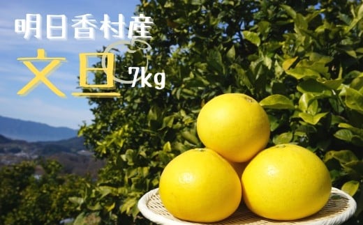 【2026年3月中旬発送】文旦　約7kg