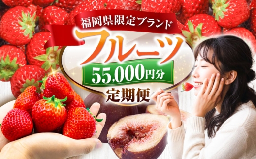 【全4回定期便】フルーツ定期便 5万5千円コース (あまおう3種＆いちじく) 《豊前市》【豊前市定期便】 [VZZ016]