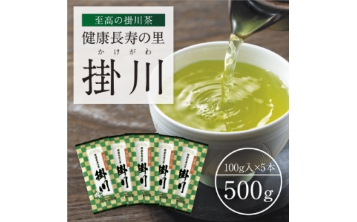 特上深蒸し掛川茶「健康長寿の里 掛川」100g×5本セット【1650540】