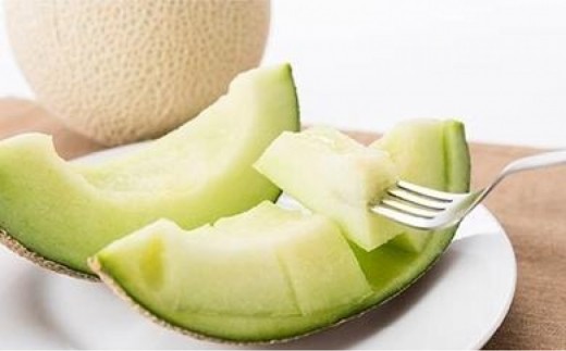 ★2026年夏発送★ 岸田農園産 青肉メロン 1玉入り(サイズ:1.8kg以上)【 果物 メロン フルーツ 北海道 上川町 岸田農園 甘いジューシー 季節限定 甘みたっぷり メロンギフト 産地直送 くだもの 】