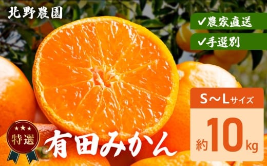 DZ6231_ 特選 有田みかん サイズ 混合 おまかせ S ～ L 約 10kg みかん 柑橘 フルーツ 果物 果実 果汁 デザート 深み 濃厚 国産 贈答用 ギフト用 北野農園 お取り寄せ 和歌山県 湯浅町 送料無料