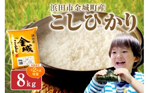 【年内配送】【生活応援品】【令和7年産】浜田市金城町産「こしひかり」（５㎏×２袋） 米 お米 精米 白米 玄米 ごはん お取り寄せ 特産 一等米 こしひかり 米専用箱入り 【058_1840】