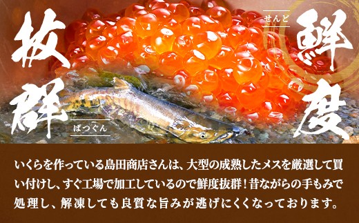 北海道標津町のふるさと納税 北海道標津産醤油いくら400g(200g×2) イクラ 人気 おすすめ 醤油漬け 小分け さけ 天然_いくら 塩漬け 冷凍 鮭 鮭卵 国産 本場 北海道産【1576551】