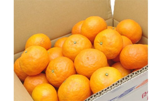 ※画像はイメージです。