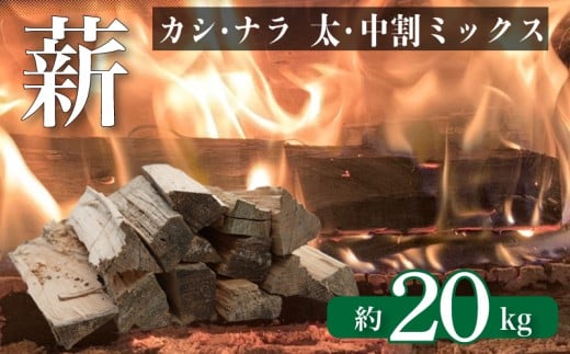 薪  【カシ・ナラ 太・中割り】 約20kg 薪ストーブ キャンプ まき 広葉樹 なら かし 楢 樫 自然乾燥 乾燥薪 ストーブ 火 焚き火 かまど 炉暖 炉 火持ち 中割り 太割り アウトドア 大容量  下関 山口