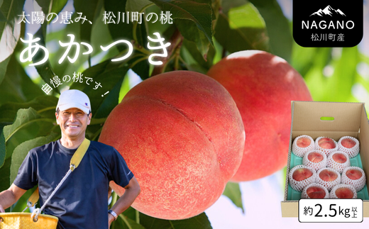 KM01-26A 【先行予約】桃 あかつき 2.5kg以上（7～10玉）／2026年7月下旬頃～配送予定 // 長野県 南信州 松川町 モモ 贈答 産地直送 新鮮  もも 甘い 約3kg 冷蔵便 クール便 1150279 - 長野県松川町