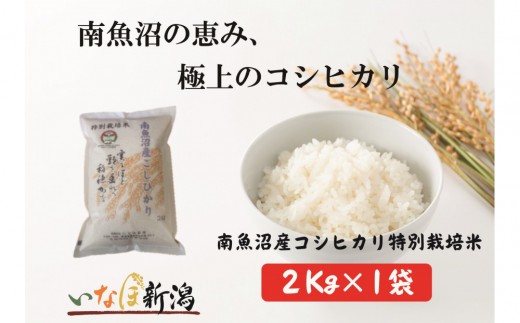 【令和7年産米】南魚沼産コシヒカリ特別栽培米 白米 2kg