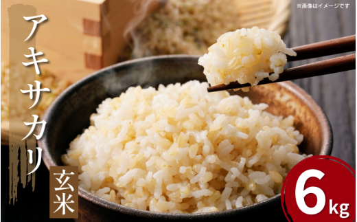 令和7年産 米 玄米 6kg （ 2kg × 3袋 ）アキサカリ 令和7年度産 新米 1袋2kg 小分け お米 こめ 精米 健康 ごはん ご飯 白飯 ゴハン コメ 吉野川 徳島県 吉野川市