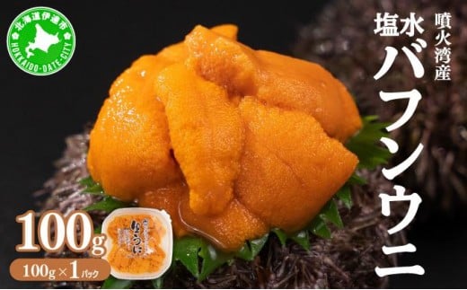 [5525-0661]北海道 噴火湾産 塩水 バフンウニ 100g 1パック うに ウニ 雲丹 海鮮 海の幸 魚介類 ウニ丼 お寿司 濃厚 無添加 産地直送 産直 お取り寄せ 山村水産 送料無料
